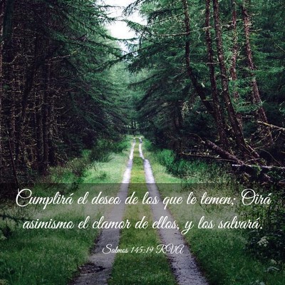 Picture 03 - Salmos 145:19 RVA - Cumplirá el deseo de los que le temen; Oirá - Bible Verse Picture