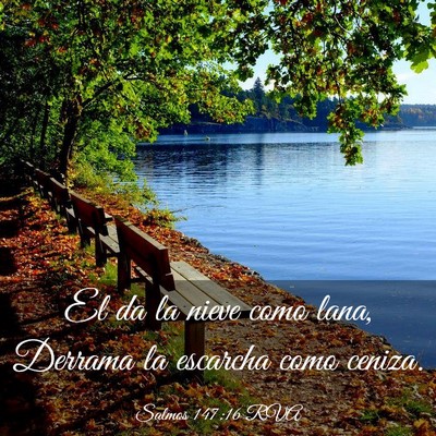 Picture 03 - Salmos 147:16 RVA - El da la nieve como lana, Derrama la escarcha - Bible Verse Picture