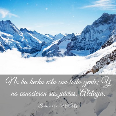 Picture 03 - Salmos 147:20 RVA - No ha hecho esto con toda gente; Y no conocieron - Bible Verse Picture