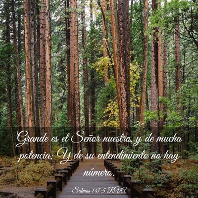 Picture 03 - Salmos 147:5 RVA - Grande es el Señor nuestro, y de mucha potencia; - Bible Verse Picture