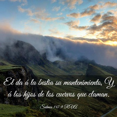Picture 03 - Salmos 147:9 RVA - El da á la bestia su mantenimiento, Y á los - Bible Verse Picture