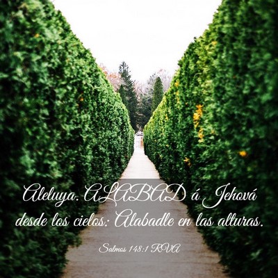 Picture 03 - Salmos 148:1 RVA - Aleluya. ALABAD á Jehová desde los cielos: - Bible Verse Picture