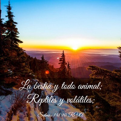 Picture 03 - Salmos 148:10 RVA - La bestia y todo animal; Reptiles y - Bible Verse Picture