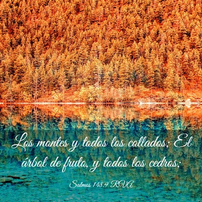 Picture 03 - Salmos 148:9 RVA - Los montes y todos los collados; El árbol de - Bible Verse Picture