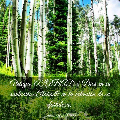 Picture 03 - Salmos 150:1 RVA - Aleluya. ALABAD á Dios en su santuario: Alabadle - Bible Verse Picture