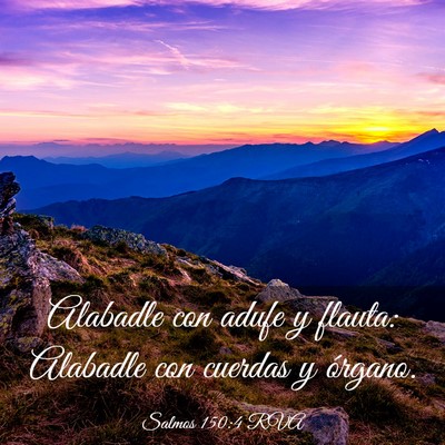 Picture 03 - Salmos 150:4 RVA - Alabadle con adufe y flauta: Alabadle con cuerdas - Bible Verse Picture