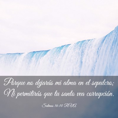Picture 03 - Salmos 16:10 RVA - Porque no dejarás mi alma en el sepulcro; Ni - Bible Verse Picture