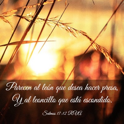 Picture 03 - Salmos 17:12 RVA - Parecen al león que desea hacer presa, Y al - Bible Verse Picture
