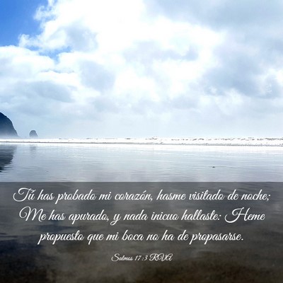 Picture 03 - Salmos 17:3 RVA - Tú has probado mi corazón, hasme visitado de - Bible Verse Picture
