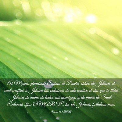 Picture 03 - Salmos 18:1 RVA - Al Músico principal: Salmo de David, siervo de - Bible Verse Picture