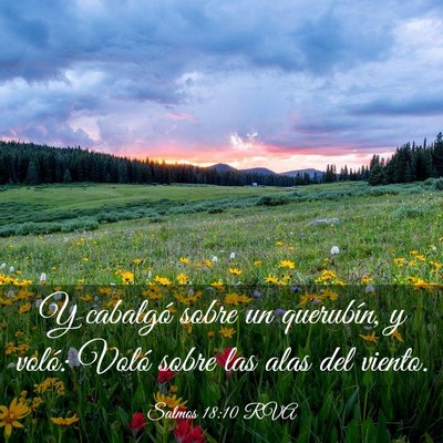 Picture 03 - Salmos 18:10 RVA - Y cabalgó sobre un querubín, y voló: Voló - Bible Verse Picture