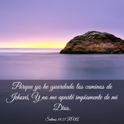 Picture 03 - Salmos 18:21 RVA - Porque yo he guardado los caminos de Jehová, Y - Bible Verse Picture