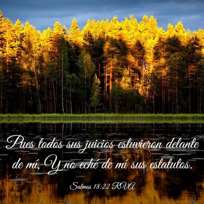 Picture 03 - Salmos 18:22 RVA - Pues todos sus juicios estuvieron delante de mí, - Bible Verse Picture