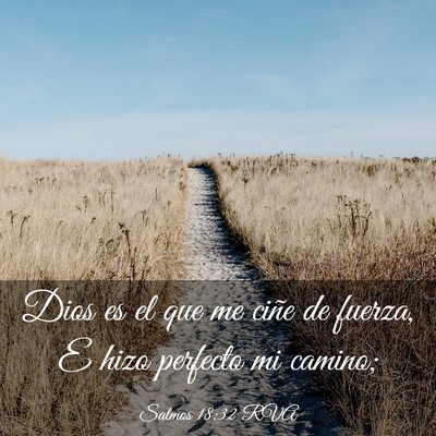 Picture 03 - Salmos 18:32 RVA - Dios es el que me ciñe de fuerza, E hizo - Bible Verse Picture