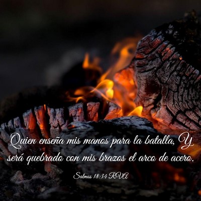 Picture 03 - Salmos 18:34 RVA - Quien enseña mis manos para la batalla, Y será - Bible Verse Picture