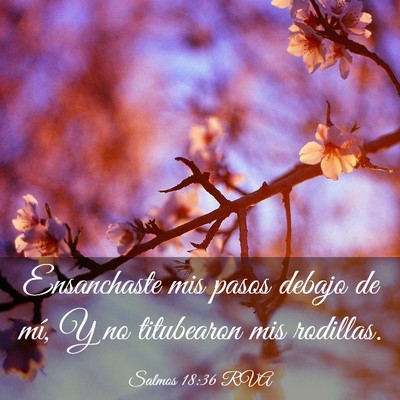 Picture 03 - Salmos 18:36 RVA - Ensanchaste mis pasos debajo de mí, Y no - Bible Verse Picture