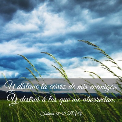 Picture 03 - Salmos 18:40 RVA - Y dísteme la cerviz de mis enemigos, Y destruí - Bible Verse Picture