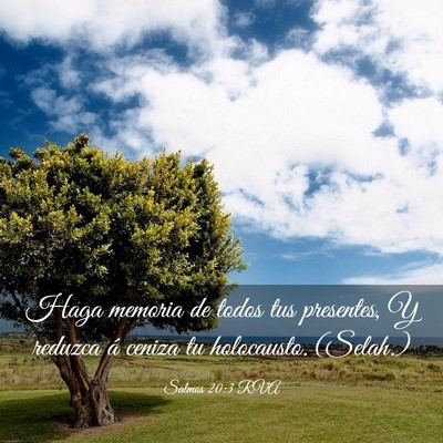 Picture 03 - Salmos 20:3 RVA - Haga memoria de todos tus presentes, Y reduzca á - Bible Verse Picture