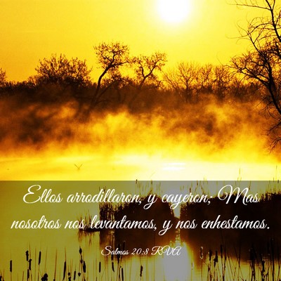 Picture 03 - Salmos 20:8 RVA - Ellos arrodillaron, y cayeron; Mas nosotros nos - Bible Verse Picture