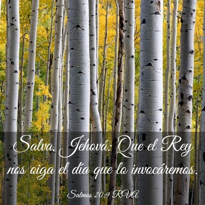 Picture 03 - Salmos 20:9 RVA - Salva, Jehová: Que el Rey nos oiga el día que - Bible Verse Picture