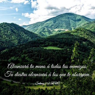 Picture 03 - Salmos 21:8 RVA - Alcanzará tu mano á todos tus enemigos; Tu - Bible Verse Picture