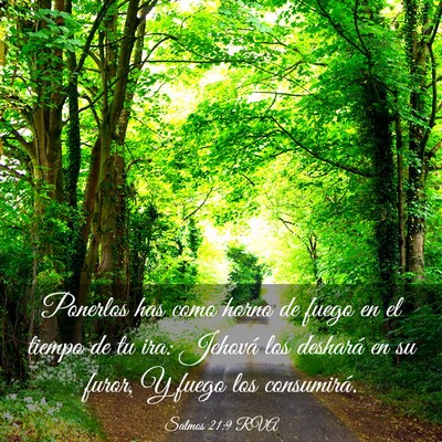 Picture 03 - Salmos 21:9 RVA - Ponerlos has como horno de fuego en el tiempo de - Bible Verse Picture