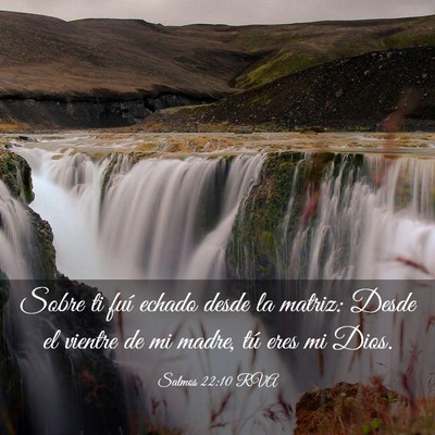Picture 03 - Salmos 22:10 RVA - Sobre ti fuí echado desde la matriz: Desde el - Bible Verse Picture