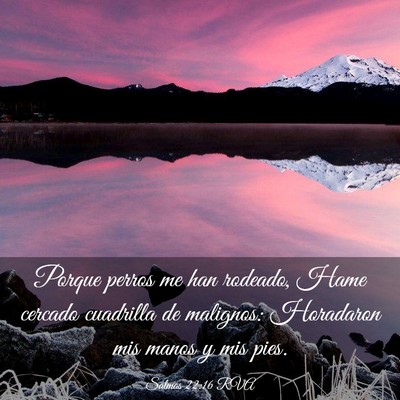 Picture 03 - Salmos 22:16 RVA - Porque perros me han rodeado, Hame cercado - Bible Verse Picture