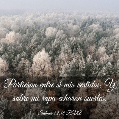Picture 03 - Salmos 22:18 RVA - Partieron entre sí mis vestidos, Y sobre mi ropa - Bible Verse Picture