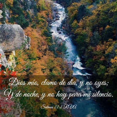 Picture 03 - Salmos 22:2 RVA - Dios mío, clamo de día, y no oyes; Y de noche, - Bible Verse Picture