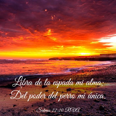 Picture 03 - Salmos 22:20 RVA - Libra de la espada mi alma; Del poder del perro - Bible Verse Picture