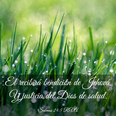 Picture 03 - Salmos 24:5 RVA - El recibirá bendición de Jehová, Y justicia - Bible Verse Picture