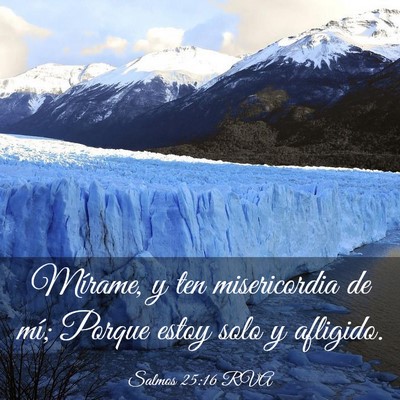 Picture 03 - Salmos 25:16 RVA - Mírame, y ten misericordia de mí; Porque estoy - Bible Verse Picture