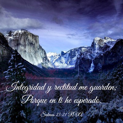 Picture 03 - Salmos 25:21 RVA - Integridad y rectitud me guarden; Porque en ti he - Bible Verse Picture