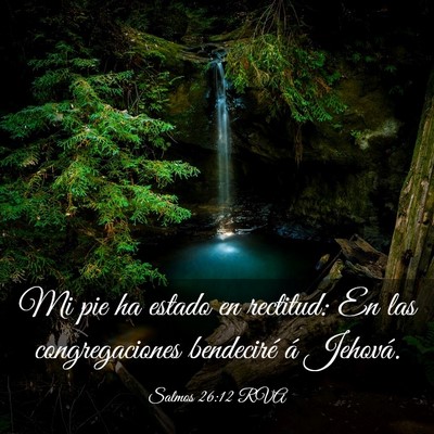 Picture 03 - Salmos 26:12 RVA - Mi pie ha estado en rectitud: En las - Bible Verse Picture