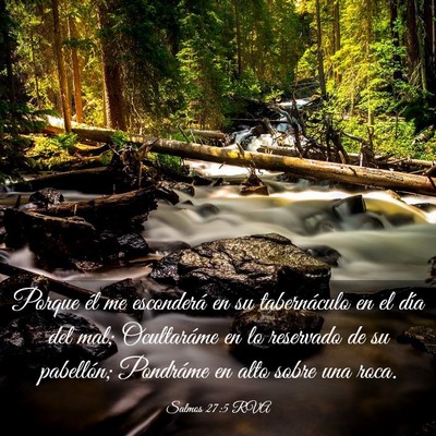 Picture 03 - Salmos 27:5 RVA - Porque él me esconderá en su tabernáculo en el - Bible Verse Picture