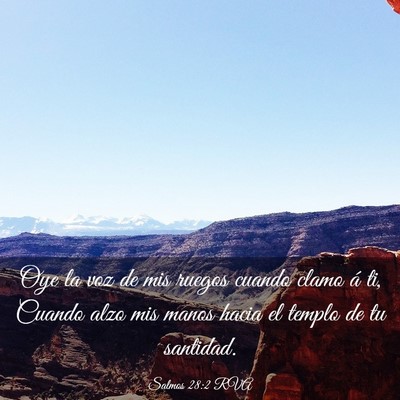 Picture 03 - Salmos 28:2 RVA - Oye la voz de mis ruegos cuando clamo á ti, - Bible Verse Picture