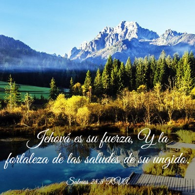 Picture 03 - Salmos 28:8 RVA - Jehová es su fuerza, Y la fortaleza de las - Bible Verse Picture