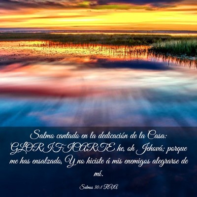 Picture 03 - Salmos 30:1 RVA - Salmo cantado en la dedicación de la Casa: - Bible Verse Picture
