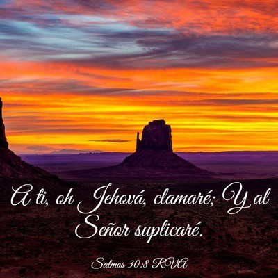 Picture 03 - Salmos 30:8 RVA - A ti, oh Jehová, clamaré; Y al Señor - Bible Verse Picture