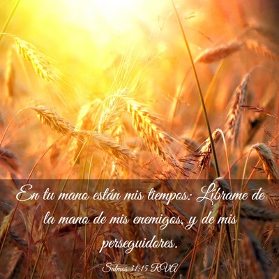 Picture 03 - Salmos 31:15 RVA - En tu mano están mis tiempos: Líbrame de la - Bible Verse Picture