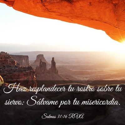 Picture 03 - Salmos 31:16 RVA - Haz resplandecer tu rostro sobre tu siervo: - Bible Verse Picture
