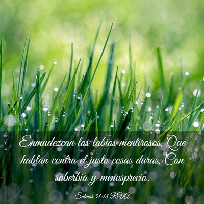 Picture 03 - Salmos 31:18 RVA - Enmudezcan los labios mentirosos, Que hablan - Bible Verse Picture