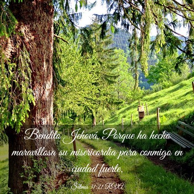 Picture 03 - Salmos 31:21 RVA - Bendito Jehová, Porque ha hecho maravillosa su - Bible Verse Picture