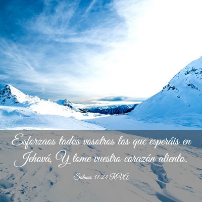Picture 03 - Salmos 31:24 RVA - Esforzaos todos vosotros los que esperáis en - Bible Verse Picture