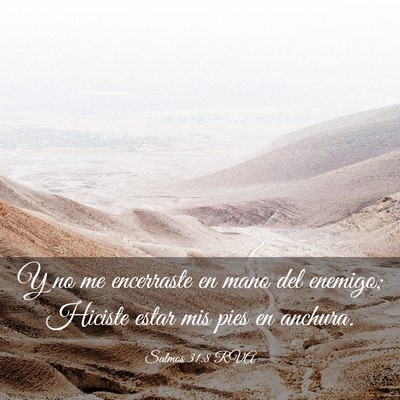 Picture 03 - Salmos 31:8 RVA - Y no me encerraste en mano del enemigo; Hiciste - Bible Verse Picture