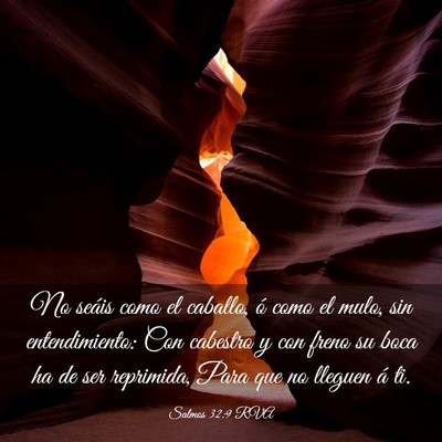 Picture 03 - Salmos 32:9 RVA - No seáis como el caballo, ó como el mulo, sin - Bible Verse Picture