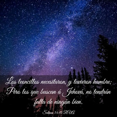 Picture 03 - Salmos 34:10 RVA - Los leoncillos necesitaron, y tuvieron hambre; - Bible Verse Picture