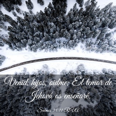 Picture 03 - Salmos 34:11 RVA - Venid, hijos, oidme; El temor de Jehová os - Bible Verse Picture