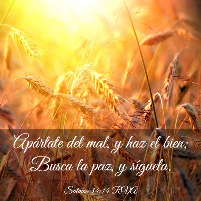 Picture 03 - Salmos 34:14 RVA - Apártate del mal, y haz el bien; Busca la paz, y - Bible Verse Picture